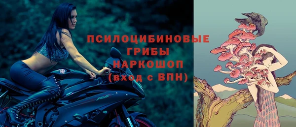 а пвп мука Корсаков