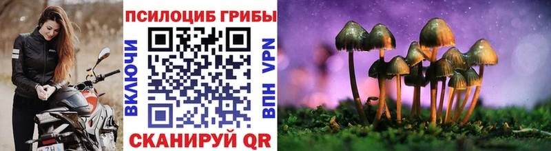 Галлюциногенные грибы Magic Shrooms  Купить закладки  Новоуральск 